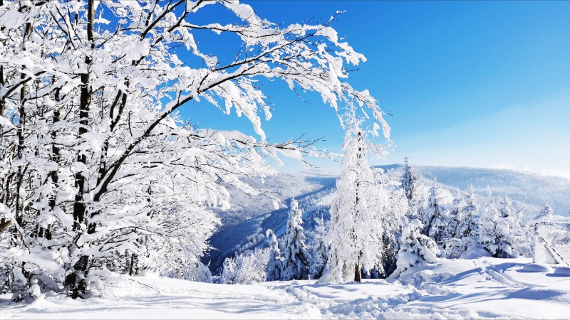 Zima w Beskidach w Dom Wczasowy Beskidy
